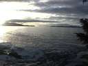 ./images/koeye/fitz-hugh/20201208/fitz-hugh20201208_152502.jpg