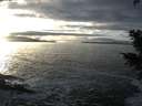 ./images/koeye/fitz-hugh/20201208/fitz-hugh20201208_153002.jpg