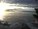 ./images/koeye/fitz-hugh/20201208/fitz-hugh20201208_154001.jpg