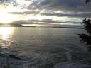 ./images/koeye/fitz-hugh/20201208/fitz-hugh20201208_154501.jpg