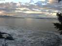 ./images/koeye/fitz-hugh/20201208/fitz-hugh20201208_155501.jpg
