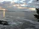 ./images/koeye/fitz-hugh/20201208/fitz-hugh20201208_160001.jpg