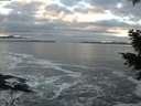 ./images/koeye/fitz-hugh/20201208/fitz-hugh20201208_160501.jpg