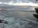 ./images/koeye/fitz-hugh/20201208/fitz-hugh20201208_161001.jpg