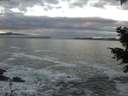 ./images/koeye/fitz-hugh/20201208/fitz-hugh20201208_161501.jpg