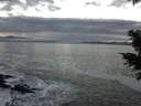 ./images/koeye/fitz-hugh/20201208/fitz-hugh20201208_162001.jpg