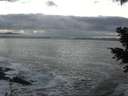 ./images/koeye/fitz-hugh/20201208/fitz-hugh20201208_162501.jpg
