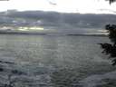 ./images/koeye/fitz-hugh/20201208/fitz-hugh20201208_163001.jpg