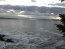 ./images/koeye/fitz-hugh/20201208/fitz-hugh20201208_163501.jpg