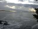 ./images/koeye/fitz-hugh/20201208/fitz-hugh20201208_164001.jpg