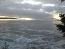 ./images/koeye/fitz-hugh/20201208/fitz-hugh20201208_164501.jpg