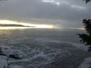 ./images/koeye/fitz-hugh/20201208/fitz-hugh20201208_165001.jpg