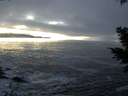 ./images/koeye/fitz-hugh/20201208/fitz-hugh20201208_165501.jpg