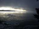 ./images/koeye/fitz-hugh/20201208/fitz-hugh20201208_170001.jpg