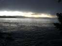 ./images/koeye/fitz-hugh/20201208/fitz-hugh20201208_170501.jpg