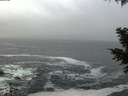 ./images/koeye/fitz-hugh/20201209/fitz-hugh20201209_080001.jpg
