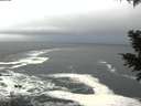 ./images/koeye/fitz-hugh/20201209/fitz-hugh20201209_100002.jpg
