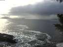 ./images/koeye/fitz-hugh/20201209/fitz-hugh20201209_140002.jpg