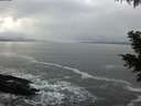 ./images/koeye/fitz-hugh/20201209/fitz-hugh20201209_160001.jpg