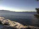 ./images/koeye/fitz-hugh/20201211/fitz-hugh20201211_124501.jpg