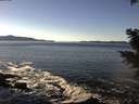 ./images/koeye/fitz-hugh/20201211/fitz-hugh20201211_125001.jpg
