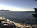 ./images/koeye/fitz-hugh/20201211/fitz-hugh20201211_125501.jpg