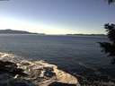./images/koeye/fitz-hugh/20201211/fitz-hugh20201211_130001.jpg