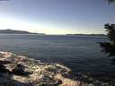 ./images/koeye/fitz-hugh/20201211/fitz-hugh20201211_130501.jpg