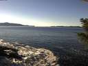 ./images/koeye/fitz-hugh/20201211/fitz-hugh20201211_131001.jpg