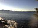 ./images/koeye/fitz-hugh/20201211/fitz-hugh20201211_132501.jpg