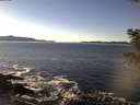 ./images/koeye/fitz-hugh/20201211/fitz-hugh20201211_133002.jpg