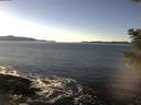 ./images/koeye/fitz-hugh/20201211/fitz-hugh20201211_133501.jpg