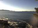 ./images/koeye/fitz-hugh/20201211/fitz-hugh20201211_134001.jpg