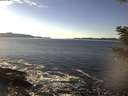 ./images/koeye/fitz-hugh/20201211/fitz-hugh20201211_134501.jpg