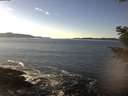 ./images/koeye/fitz-hugh/20201211/fitz-hugh20201211_135501.jpg