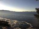 ./images/koeye/fitz-hugh/20201211/fitz-hugh20201211_140002.jpg