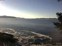 ./images/koeye/fitz-hugh/20201211/fitz-hugh20201211_140502.jpg