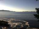 ./images/koeye/fitz-hugh/20201211/fitz-hugh20201211_141002.jpg