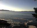 ./images/koeye/fitz-hugh/20201211/fitz-hugh20201211_141502.jpg