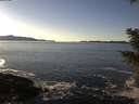 ./images/koeye/fitz-hugh/20201211/fitz-hugh20201211_142502.jpg