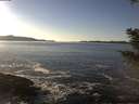 ./images/koeye/fitz-hugh/20201211/fitz-hugh20201211_143002.jpg