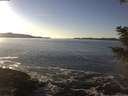 ./images/koeye/fitz-hugh/20201211/fitz-hugh20201211_144002.jpg