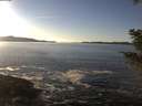 ./images/koeye/fitz-hugh/20201211/fitz-hugh20201211_144502.jpg