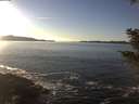 ./images/koeye/fitz-hugh/20201211/fitz-hugh20201211_145002.jpg