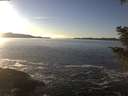 ./images/koeye/fitz-hugh/20201211/fitz-hugh20201211_145502.jpg
