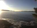 ./images/koeye/fitz-hugh/20201211/fitz-hugh20201211_150002.jpg
