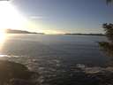 ./images/koeye/fitz-hugh/20201211/fitz-hugh20201211_150501.jpg