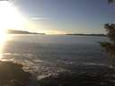 ./images/koeye/fitz-hugh/20201211/fitz-hugh20201211_151001.jpg