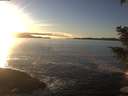 ./images/koeye/fitz-hugh/20201211/fitz-hugh20201211_153001.jpg