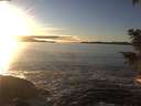 ./images/koeye/fitz-hugh/20201211/fitz-hugh20201211_153501.jpg
